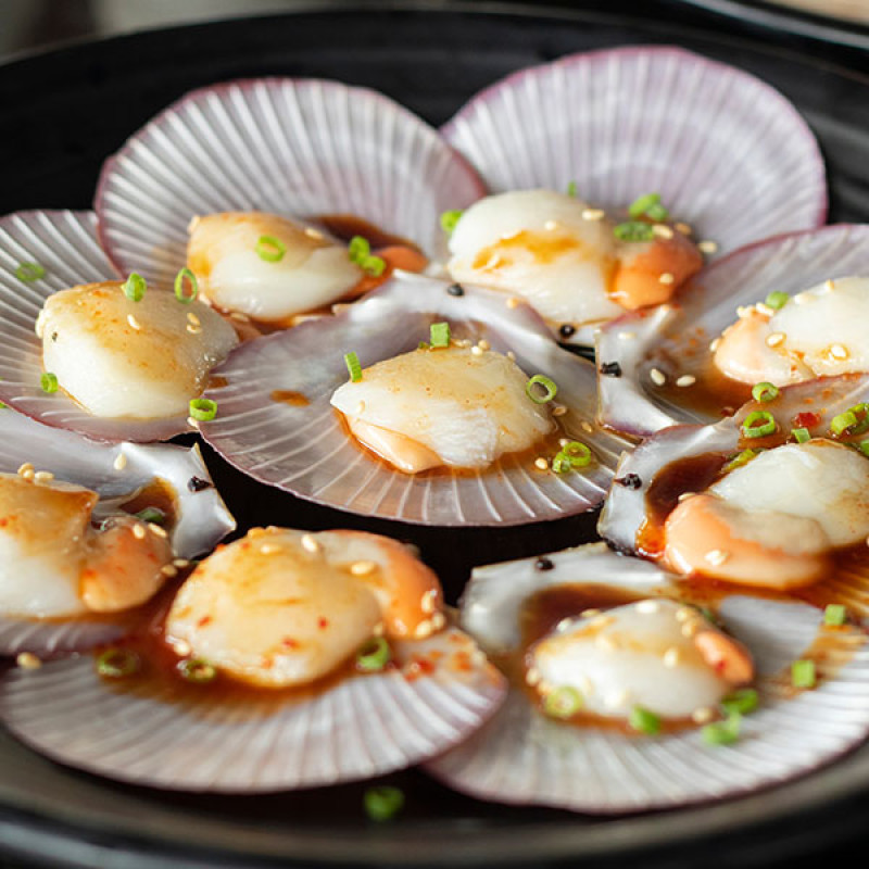 Scallop